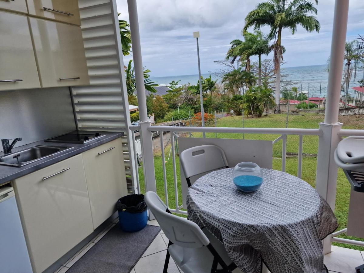 Appartement Spacieux Vue Sur Mer La Trinité Zewnętrze zdjęcie